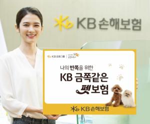 KB손해보험, 신상품 'KB 금쪽같은 펫보험' 출시
